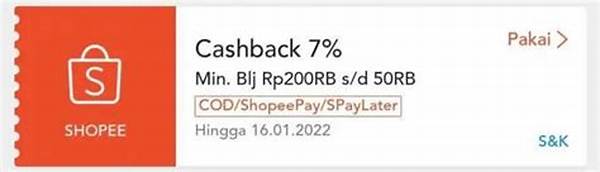 tips-menggunakan-cashback-dalam-bentuk-koin-virtual_536c5b2b1.jpg