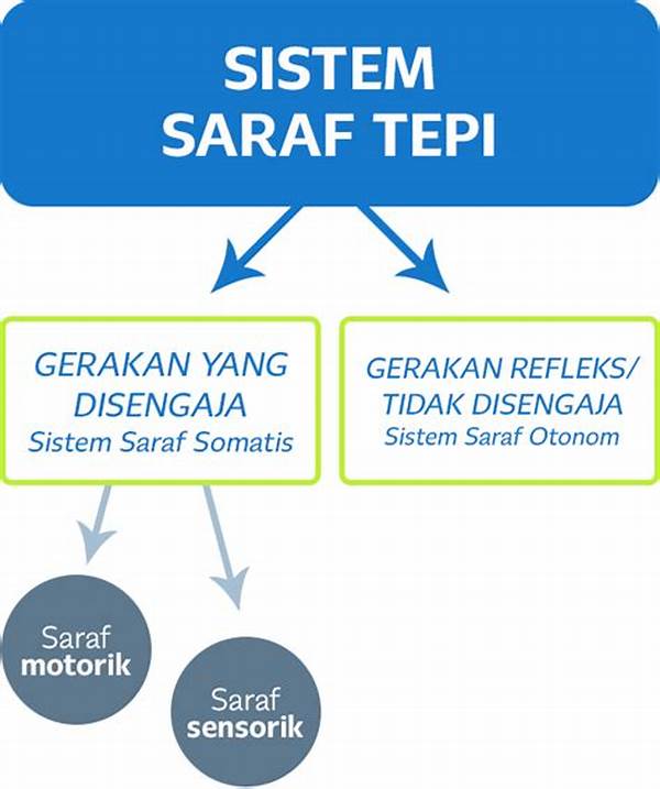 tambakbet-edukasi-pemain-soal-cara-kerja-sistem-acak-di-game-slot_eb404465e.jpg